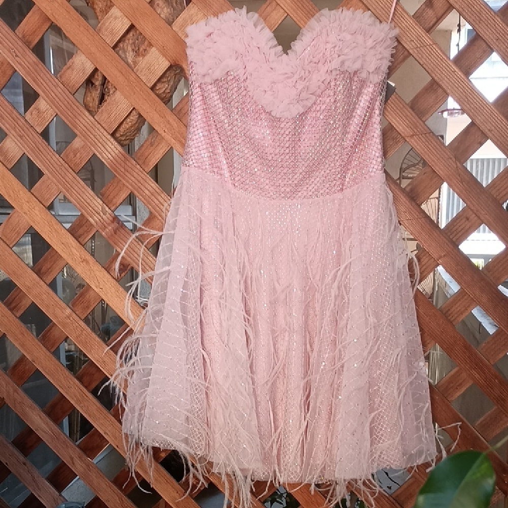 LoveShackFancy Marvella Strapless Embellished Dress Ostrich Feathers Pink Size 4